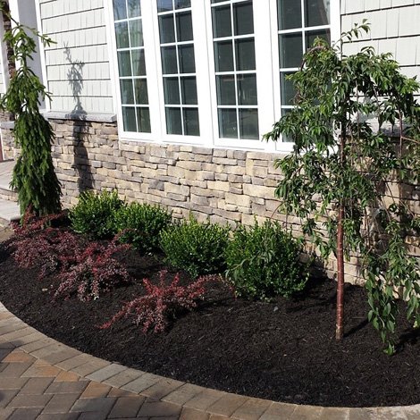 Landscape Services & Maintenance